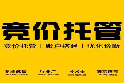 SEM优化公司助力企业实现线上营销新高度
